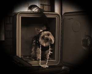 27 - Best Portrait of a Pet(s) or a Pet(s) with Its Owner ~ Nikki Hodge, Buster's Old Time Photos Branson